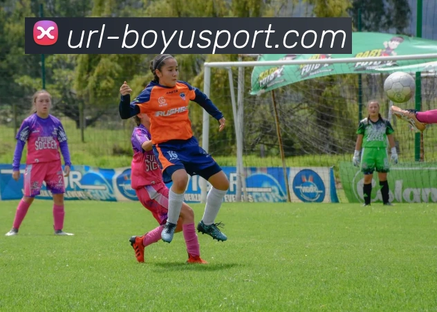 App Interface Preview